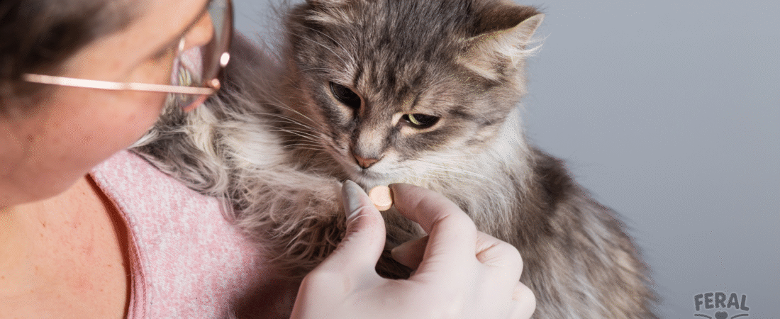 Internal Parasites in Dogs & Cats: Complete Guide with Medical & Holistic Care